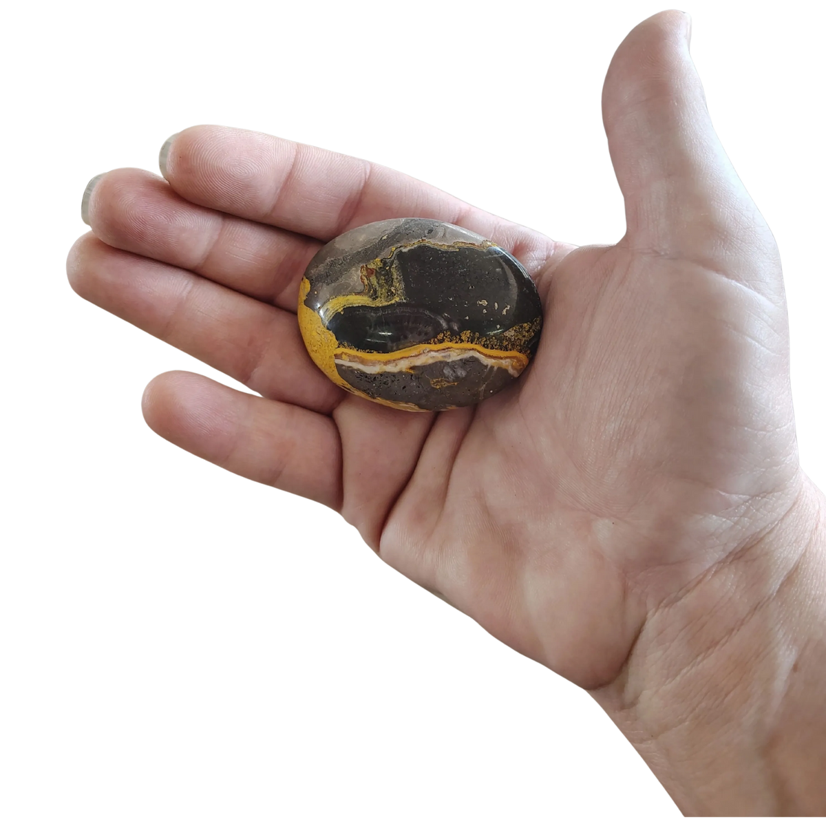 This is the front side of this Bumble Bee Jasper palm stone