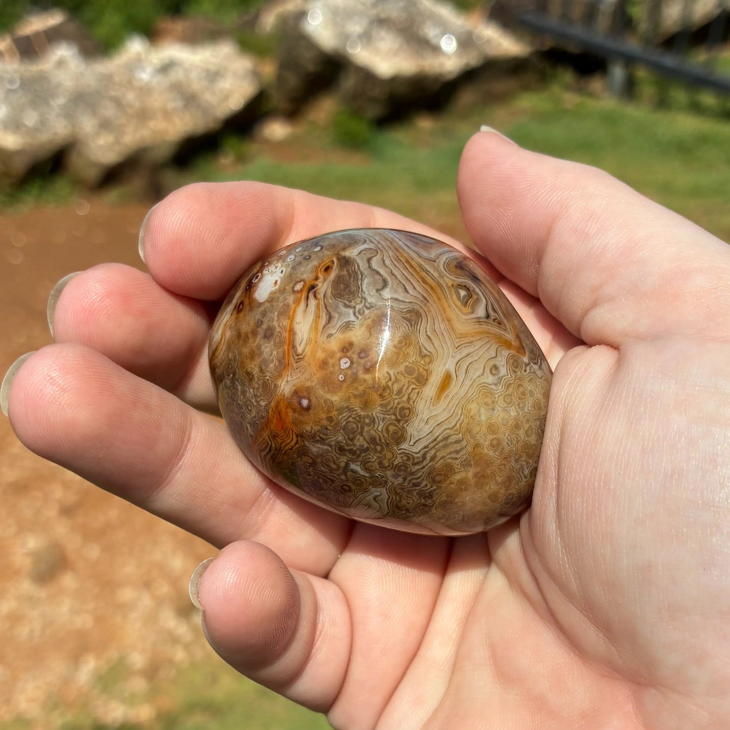 Back side of this polished Sardonyx palm stone, in front of a outdoors setting.