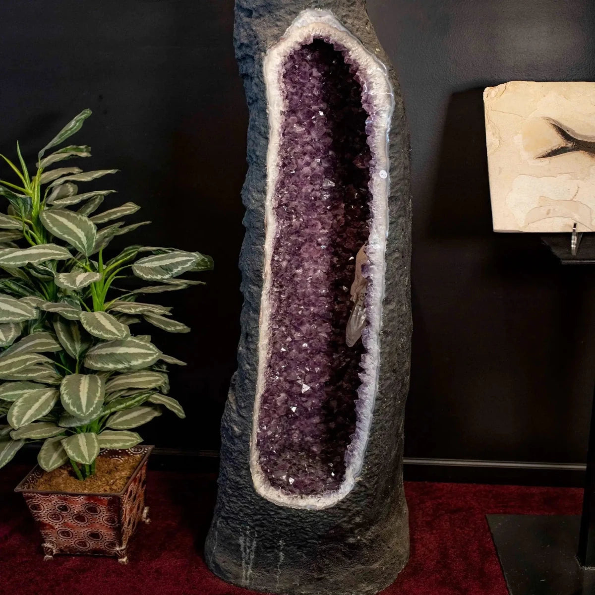 Amethyst Geode Tube