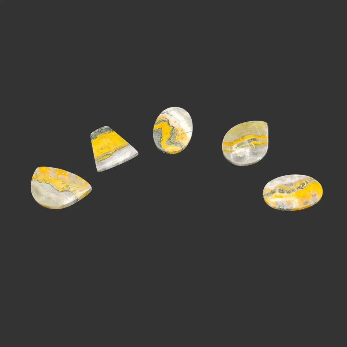 Grouping of 5 Bumblebee Jasper Cabochons