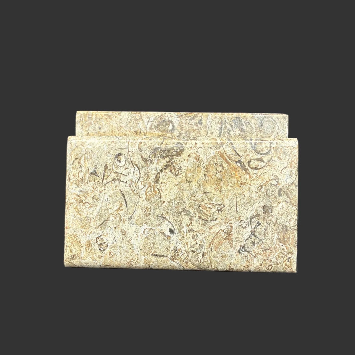 Back side of this fossil onyx card holder, in front of a black background.