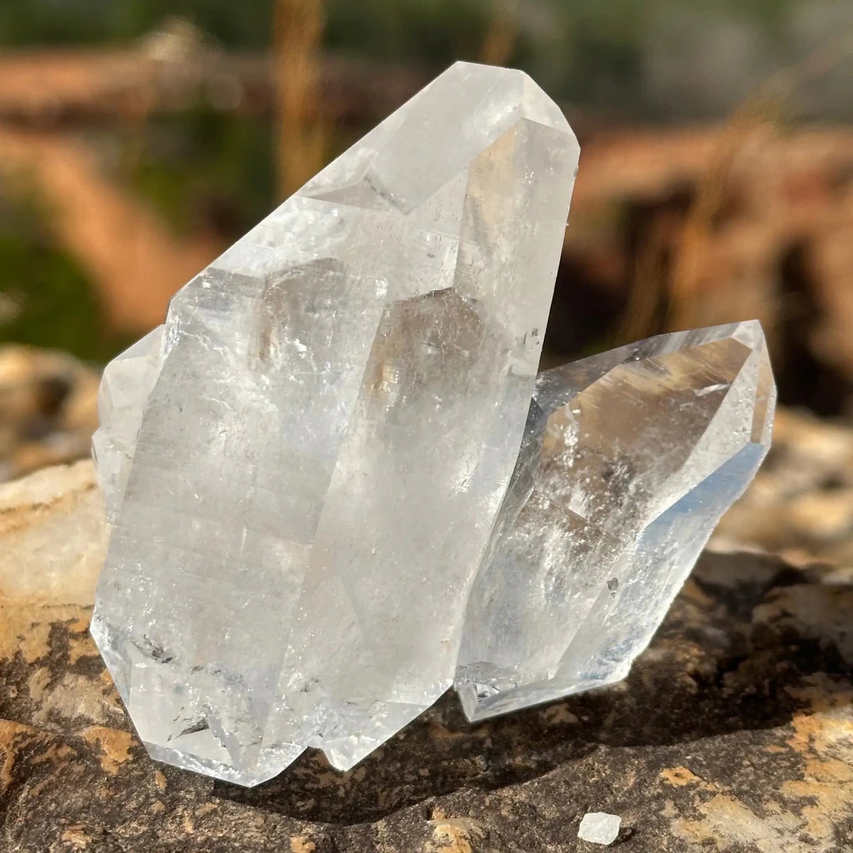 water clear crystal cluster on a rock with tree lined background