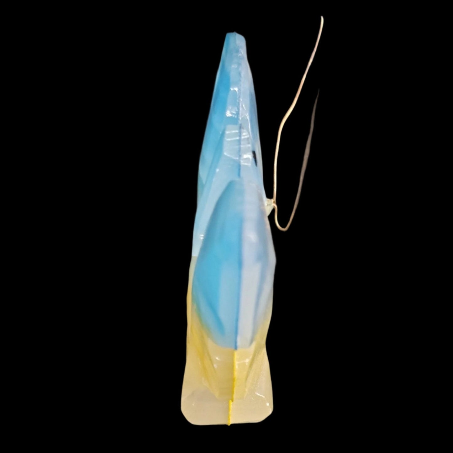 This is the side view of this rainbow Onyx butterfly.