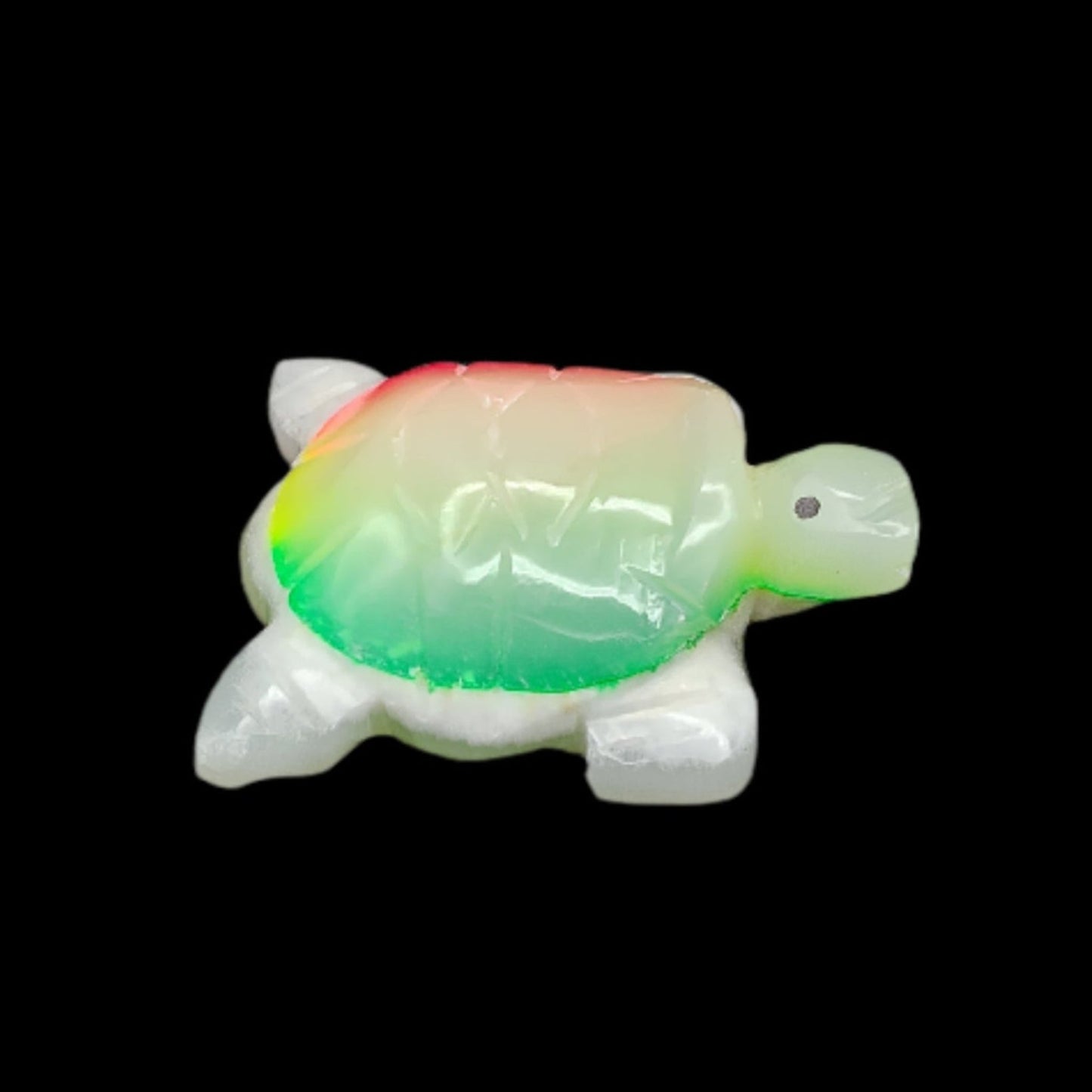 This is the right side of this rainbow onyx turtle