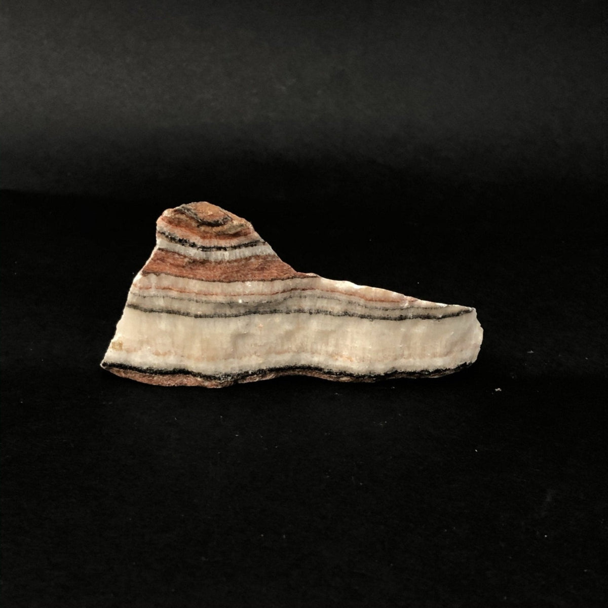 Desert Rock On Black Background shows cream, black, brown and red