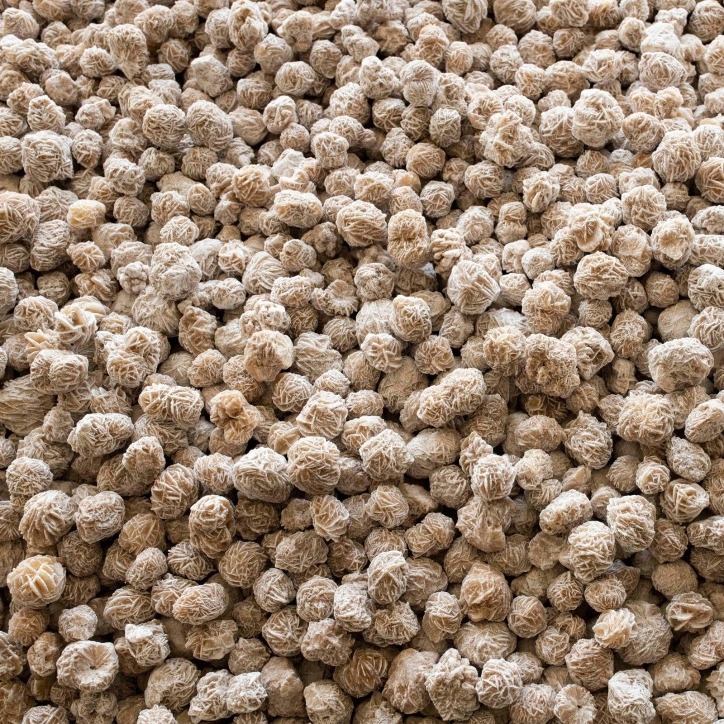 Table Full Of Desert Rose Rock Sand Selenite
