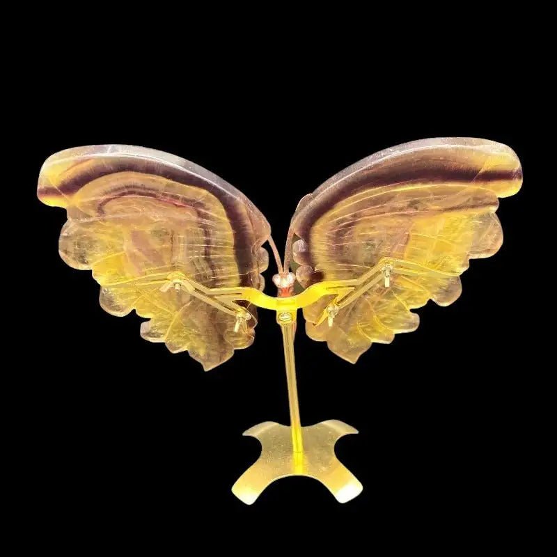 Back Side Of Butterfly On Stand