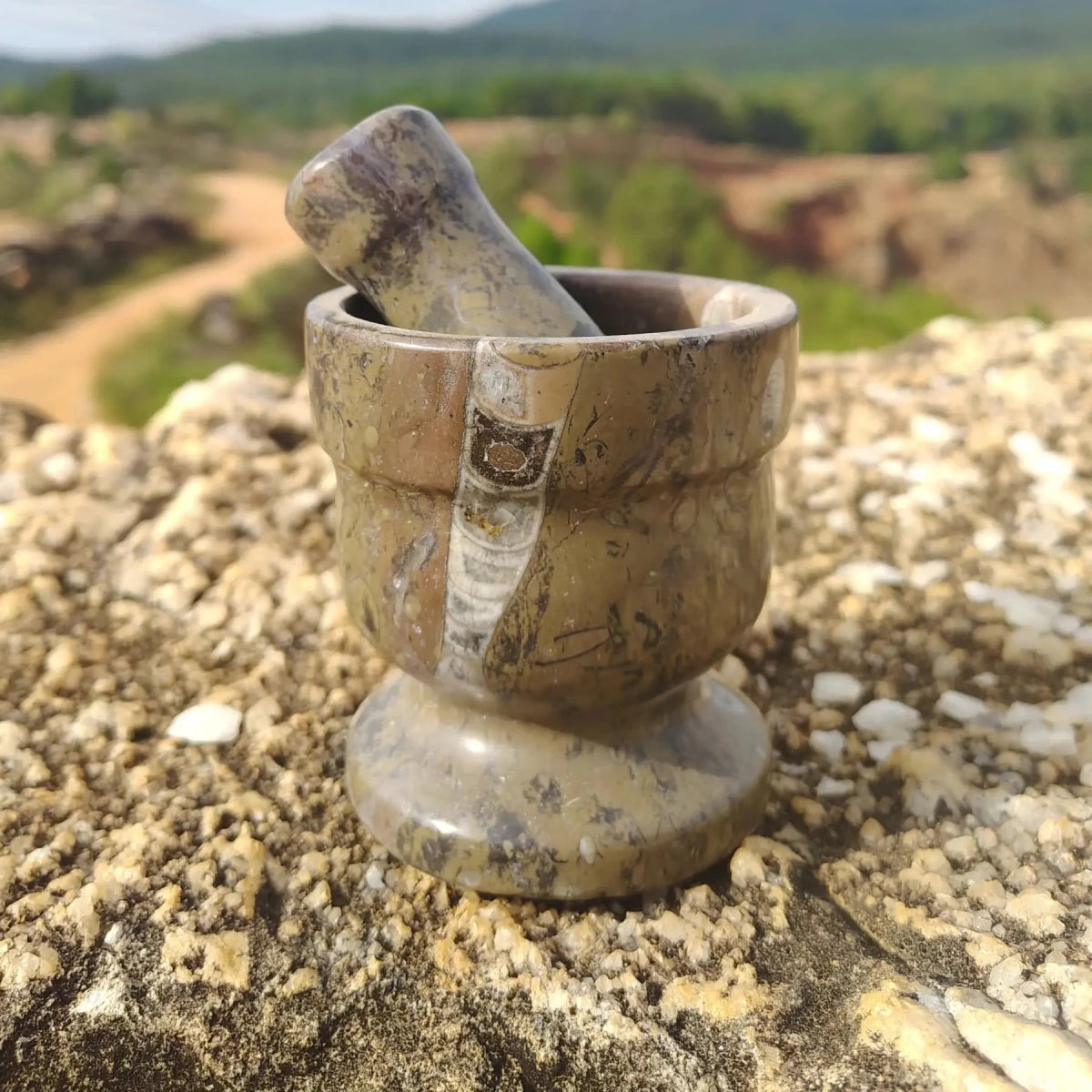This is the fossil mortar and pestle in natural light outside, in front of the Ron Coleman crystal mine