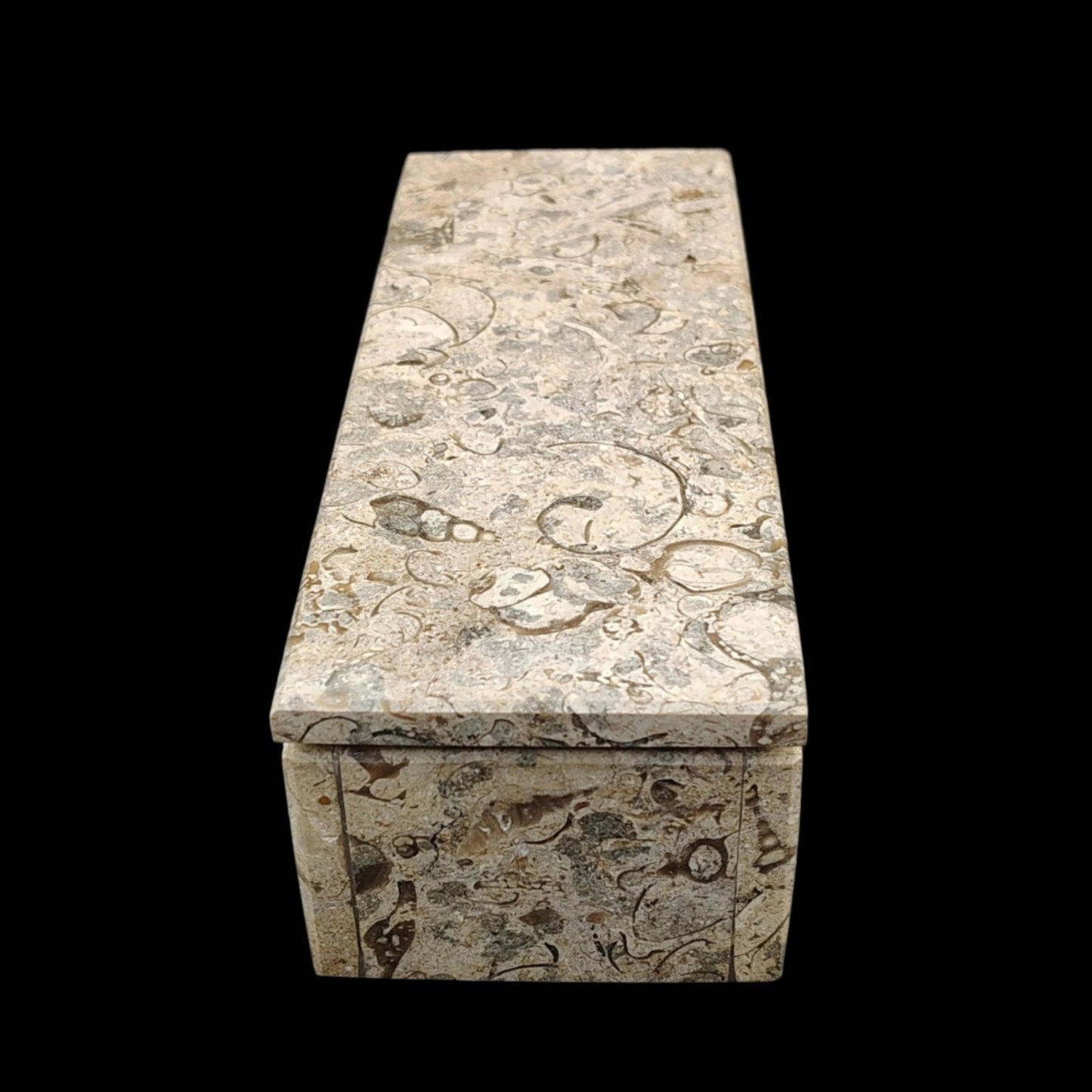 This is a view of the width of this fossil Onyx domino case.