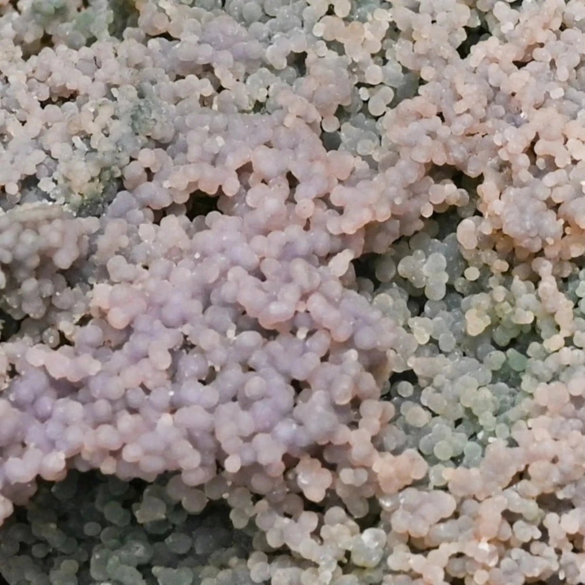 Violet Purple Stone Cluster Close Up
