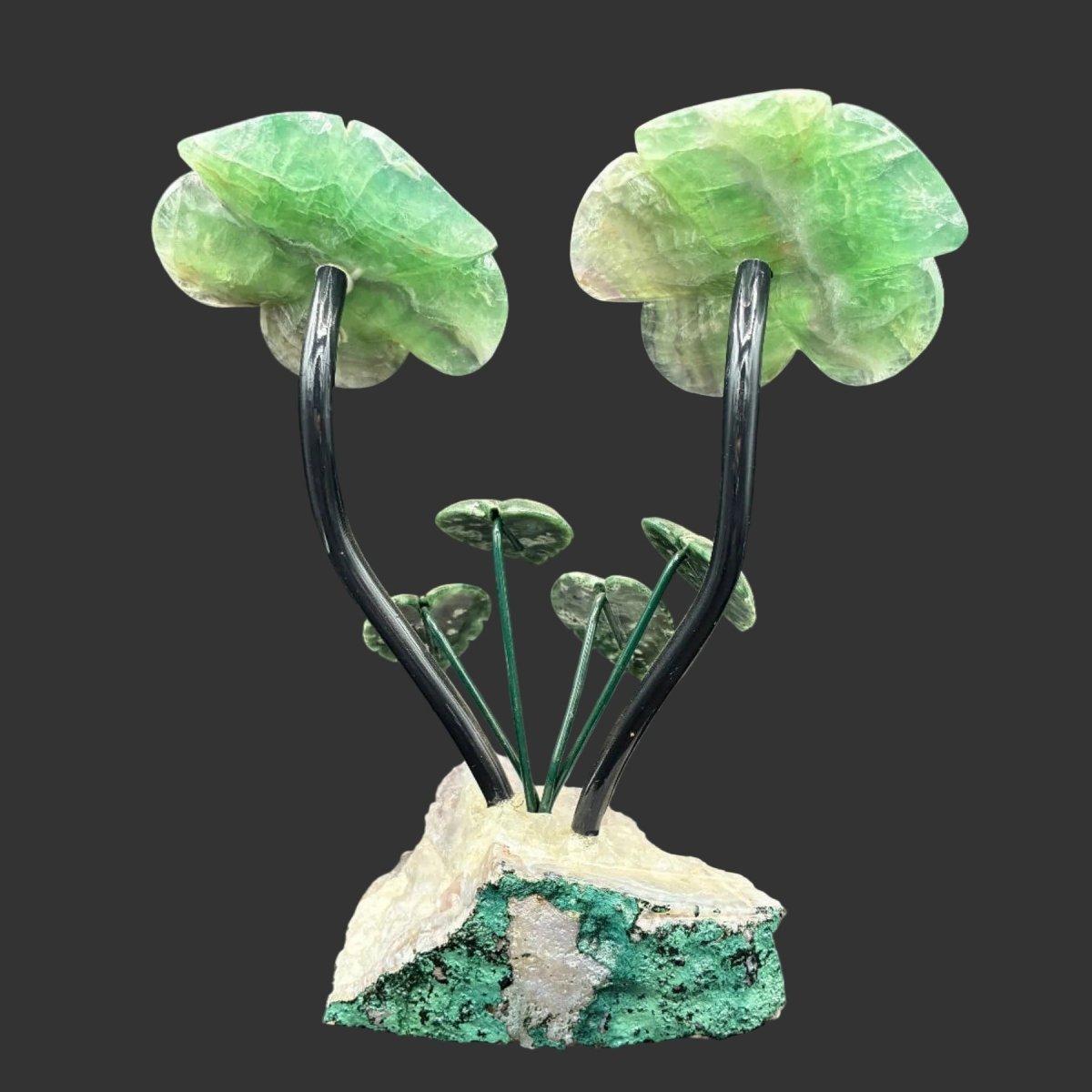 Back side of this double fluorite daisy on a amethyst base, in front of a black background.
