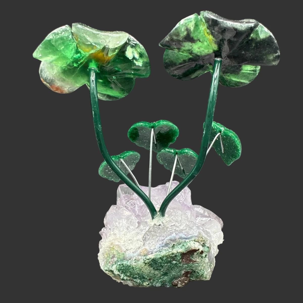 Back side of this polished green Fluorite double daisy, in front of a black background.