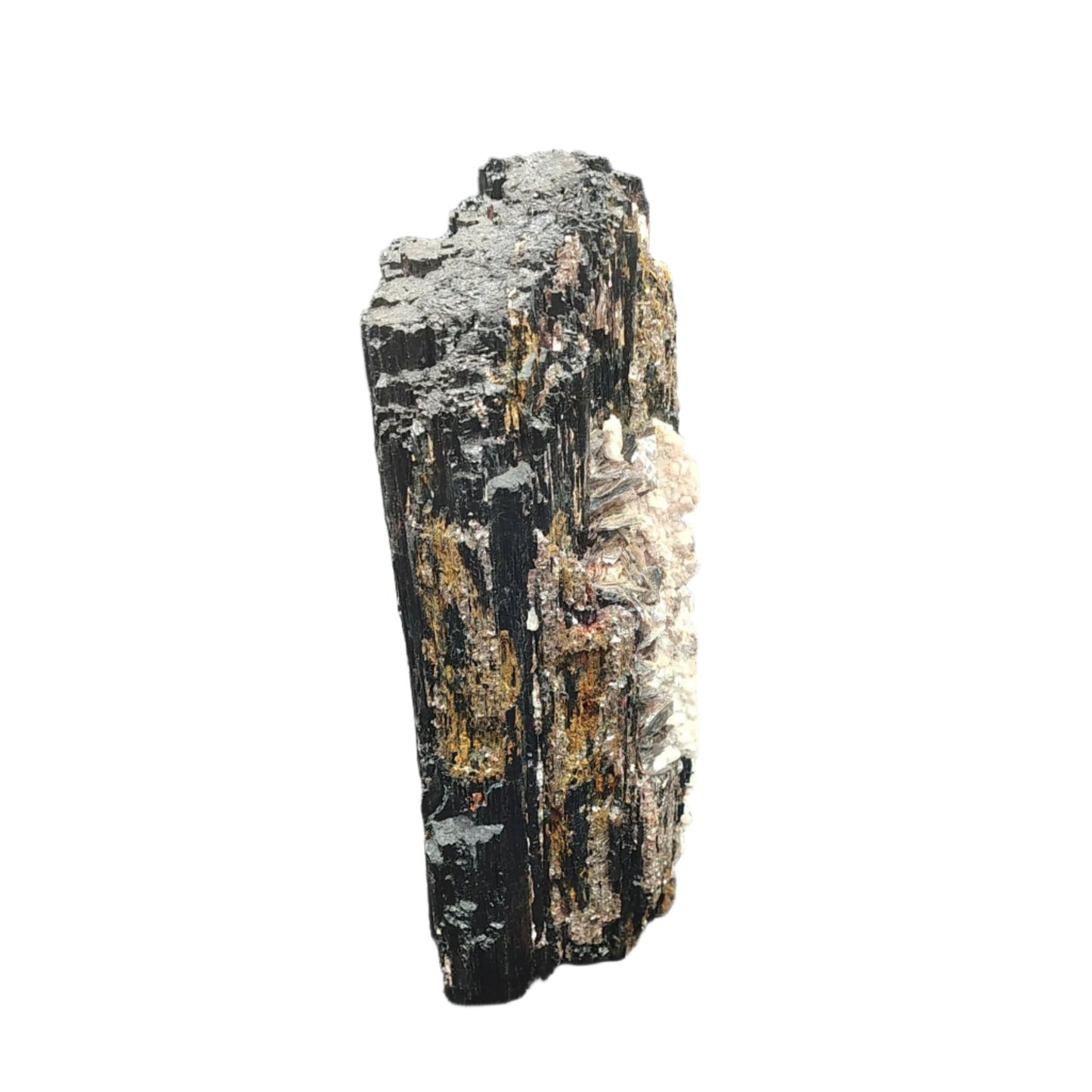 This is the right side of a raw Black Tourmaline with Mica specimen (black and white natural colors)