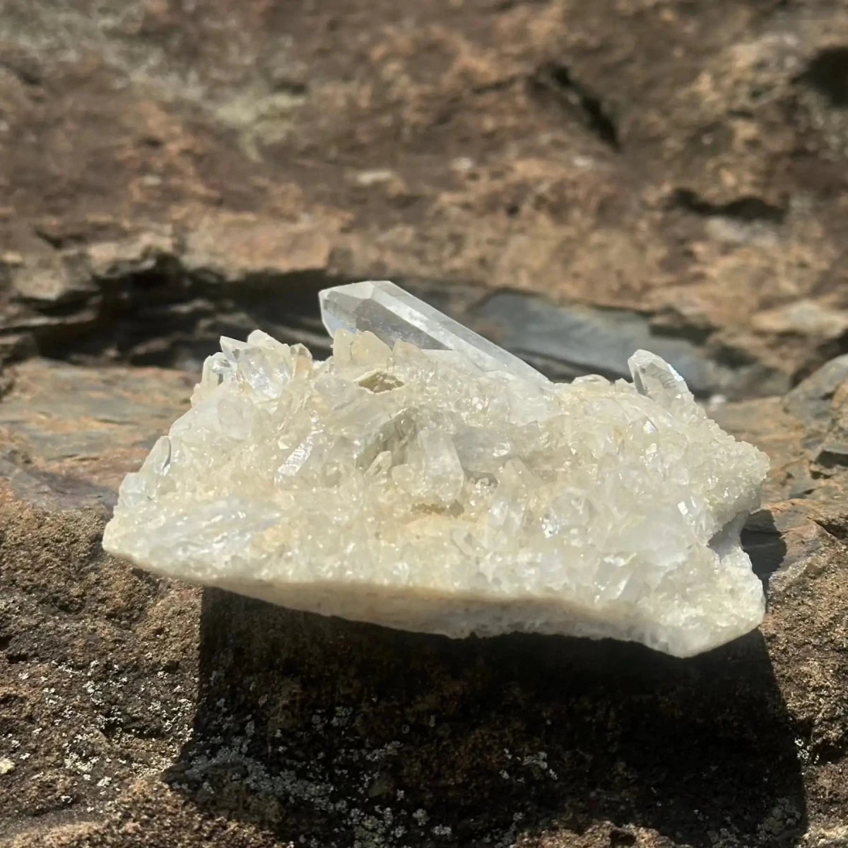Small Crystal Cluster From Ron Coleman Mining Direct Sunlight