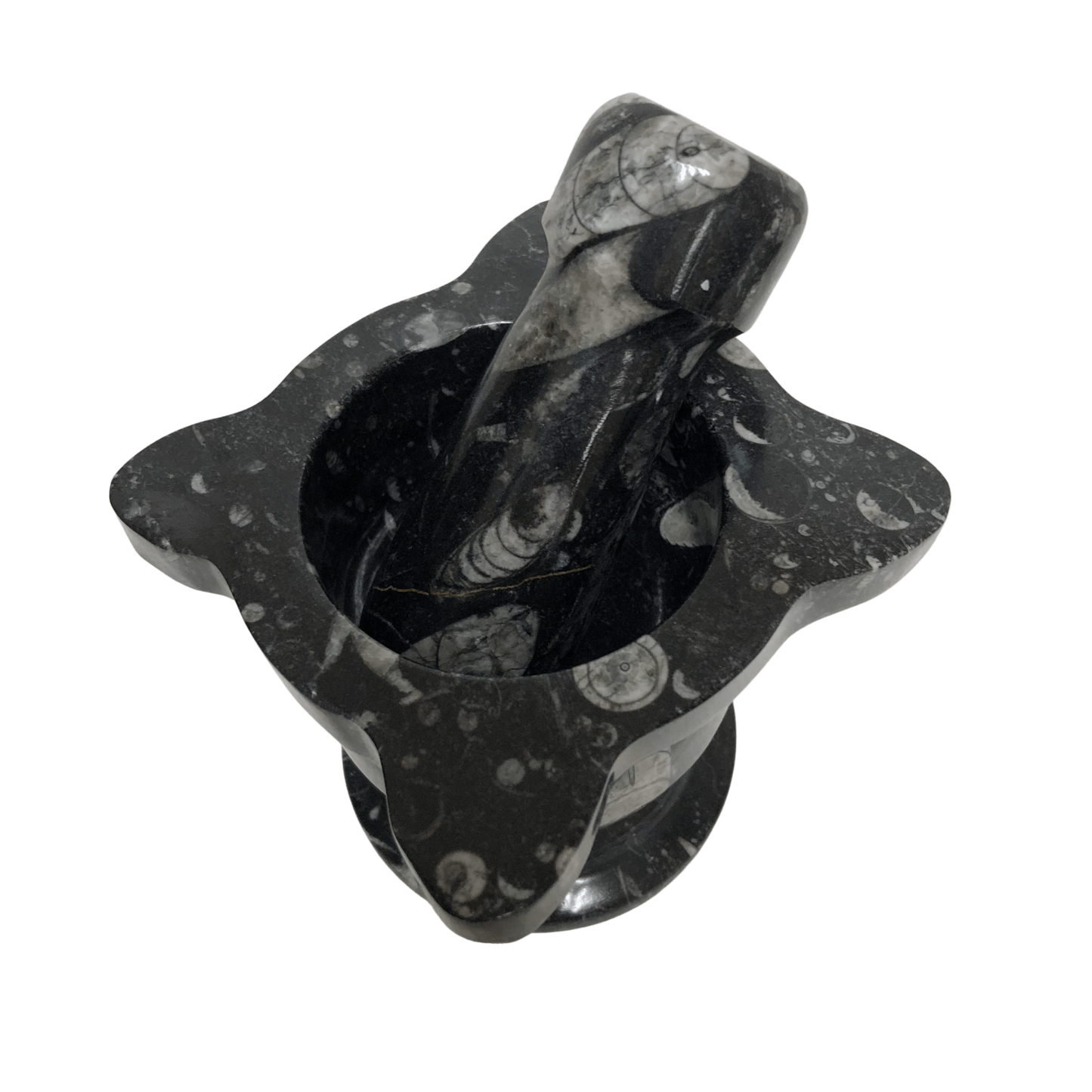 Mortar And Pestle Fossil With Scalloped Top Black Mineral