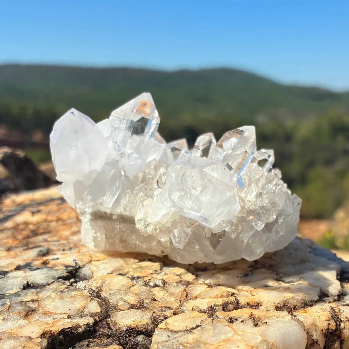 Back side of this small quartz crystal cluster on a boulder outdoors.