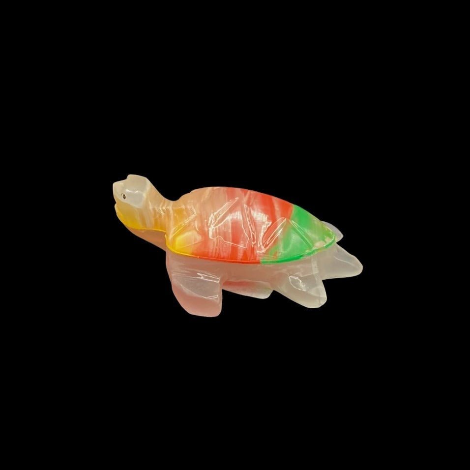 Onyx Sea Turtle