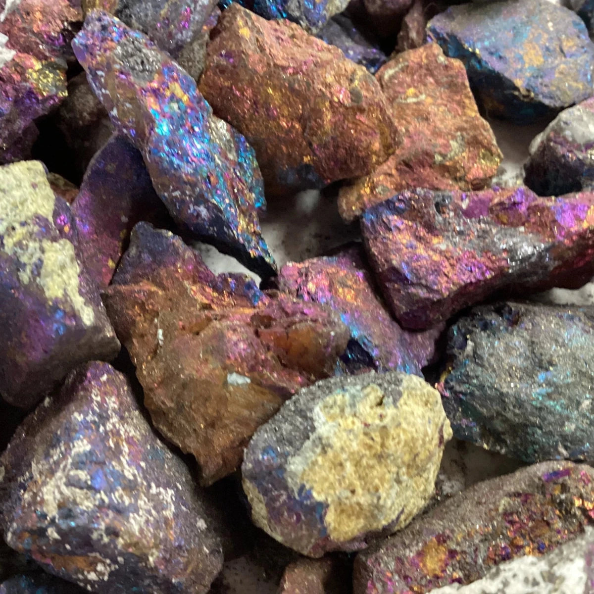 Close up Peacock ore