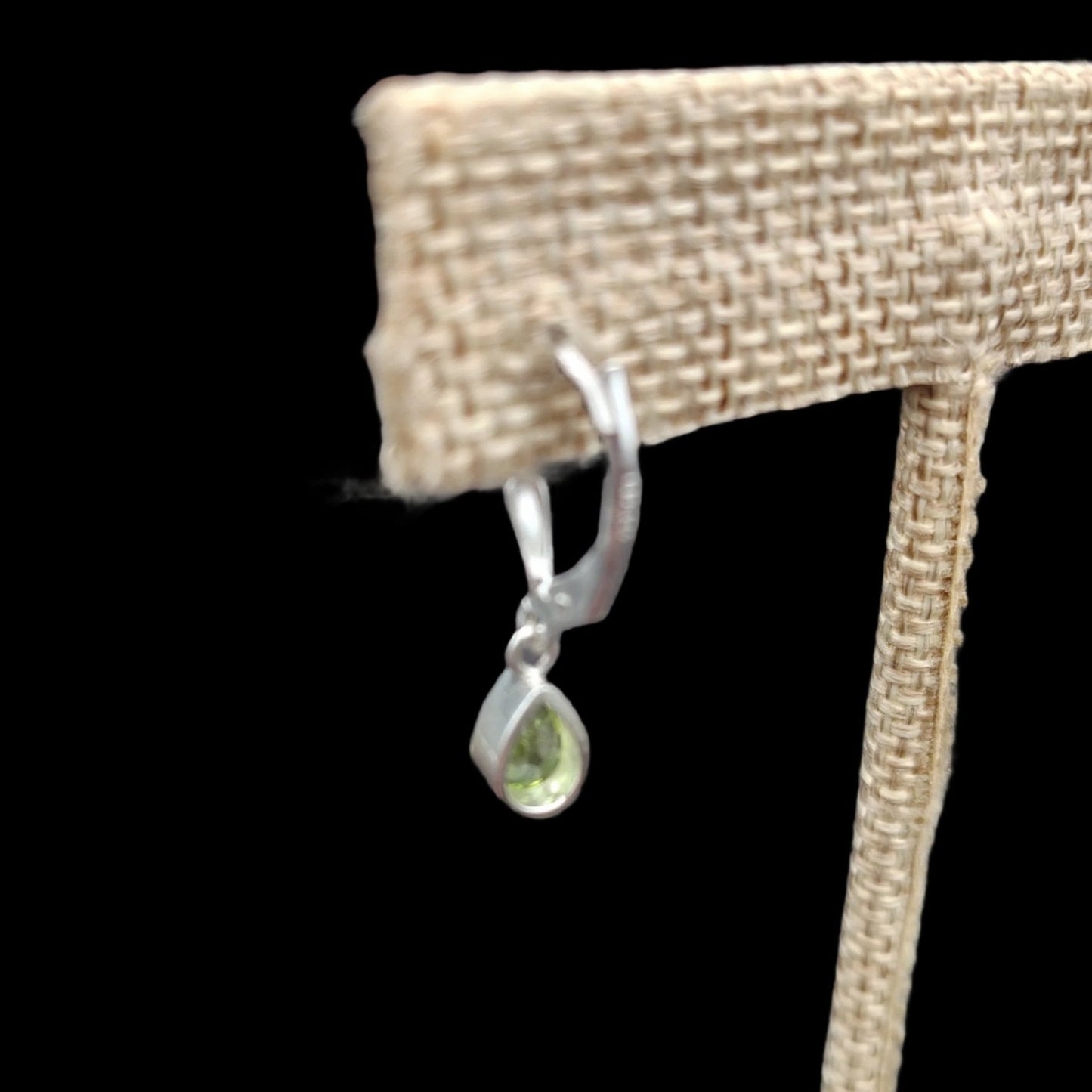 This is what the back of one of the earrings looks like