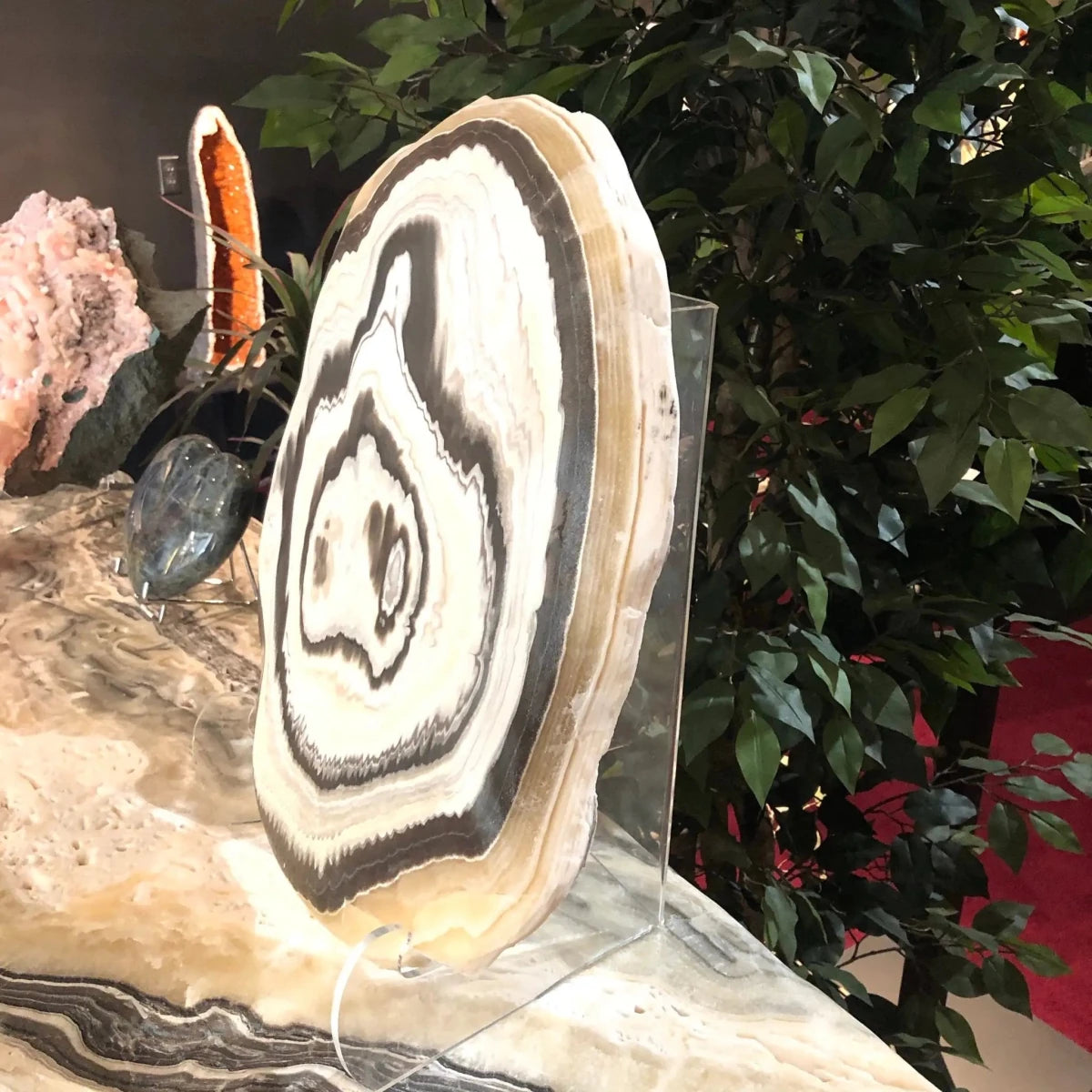 Side View Of Phantom Calcite Slab Sitting On A Phantom Calcite Bar