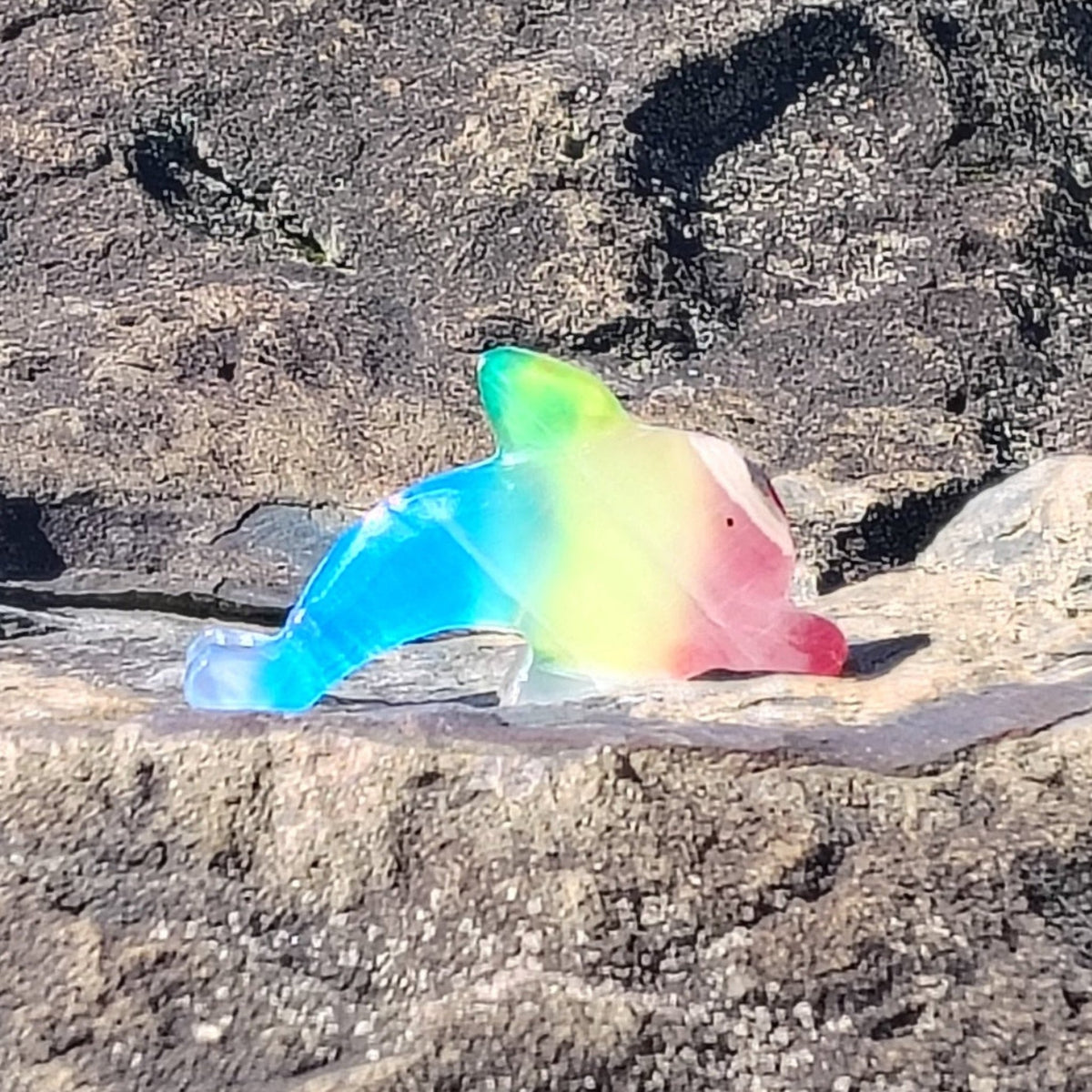 This is the Rainbow Onyx dolphin in natural outdoor lighting