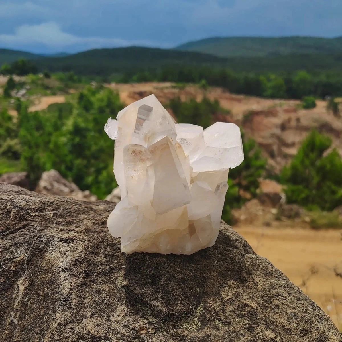 This is the left side of this quartz cluster sitting on a boulder with trees in background