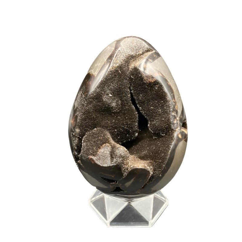 Septarian egg outlet