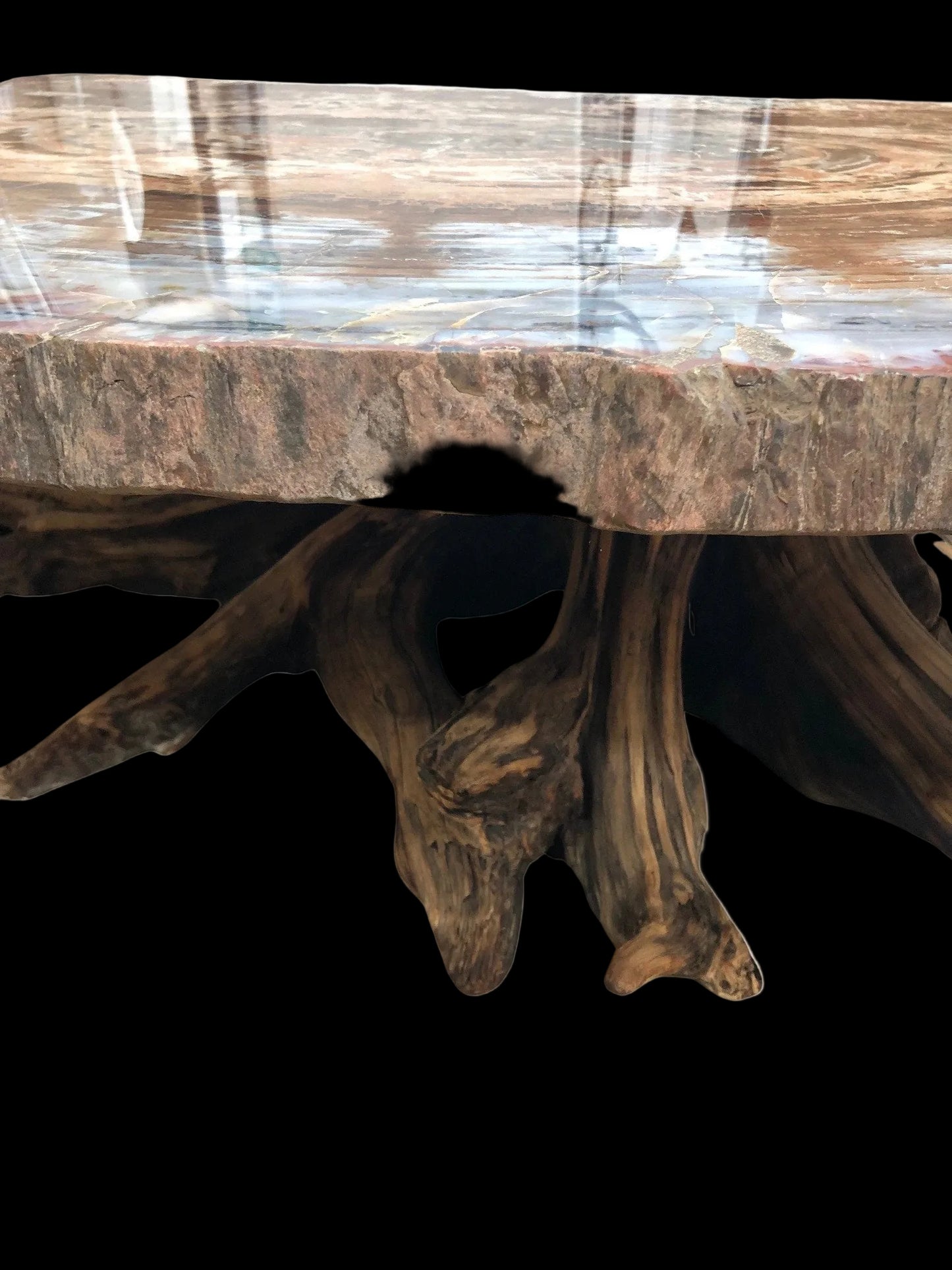 Image of rough wides on petrified wood table top and the driftwood table base