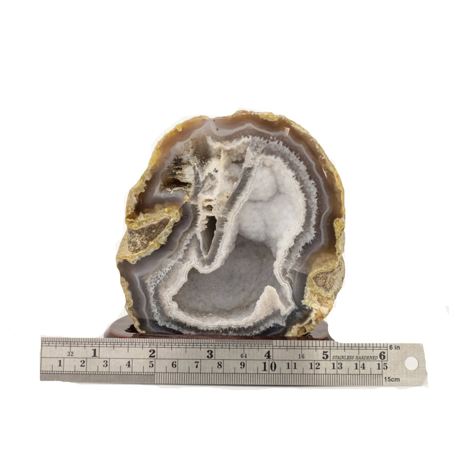 Brown Polished Agate With White Druzy