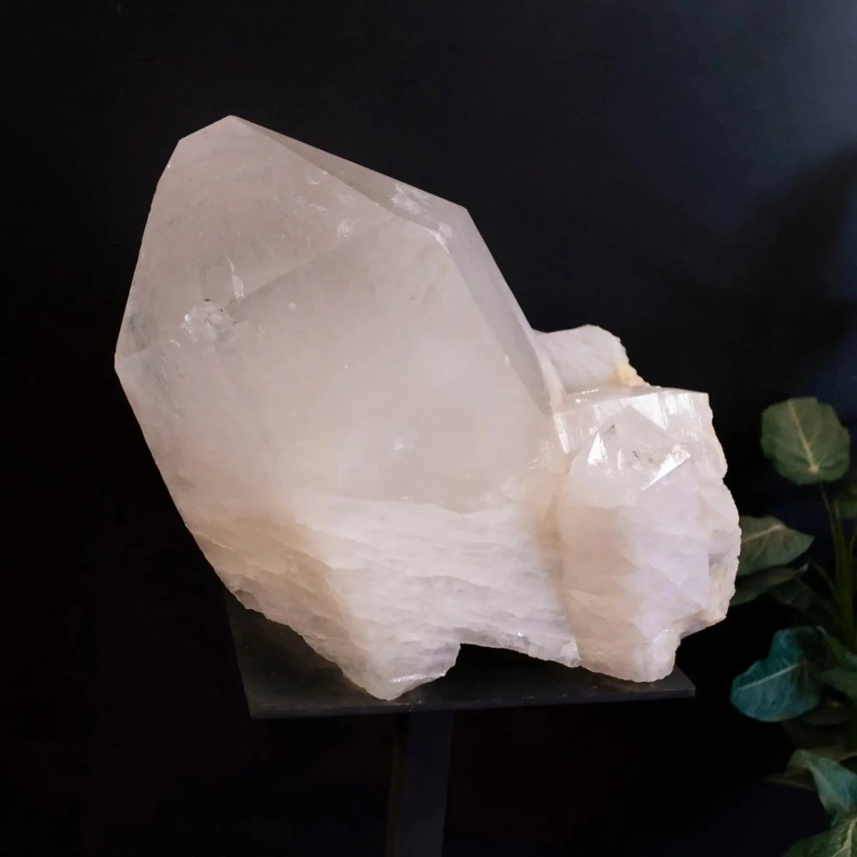 Extra Large Pristine Quartz Point With A Tabular Quartz Growth