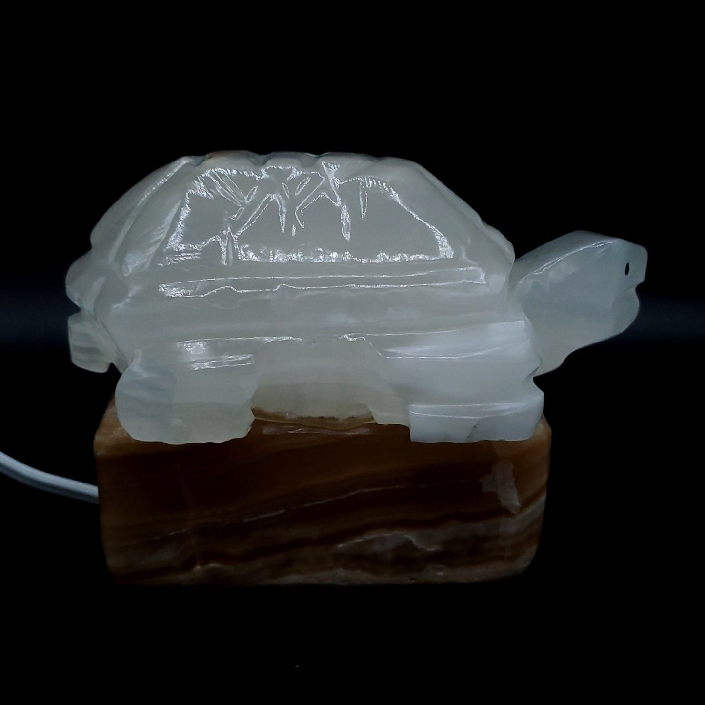 Onyx Turtle Lamp with the light switch off