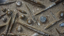Load image into Gallery viewer, Close Up Genuine Fossil Orthoceras &amp; Ammonite 
