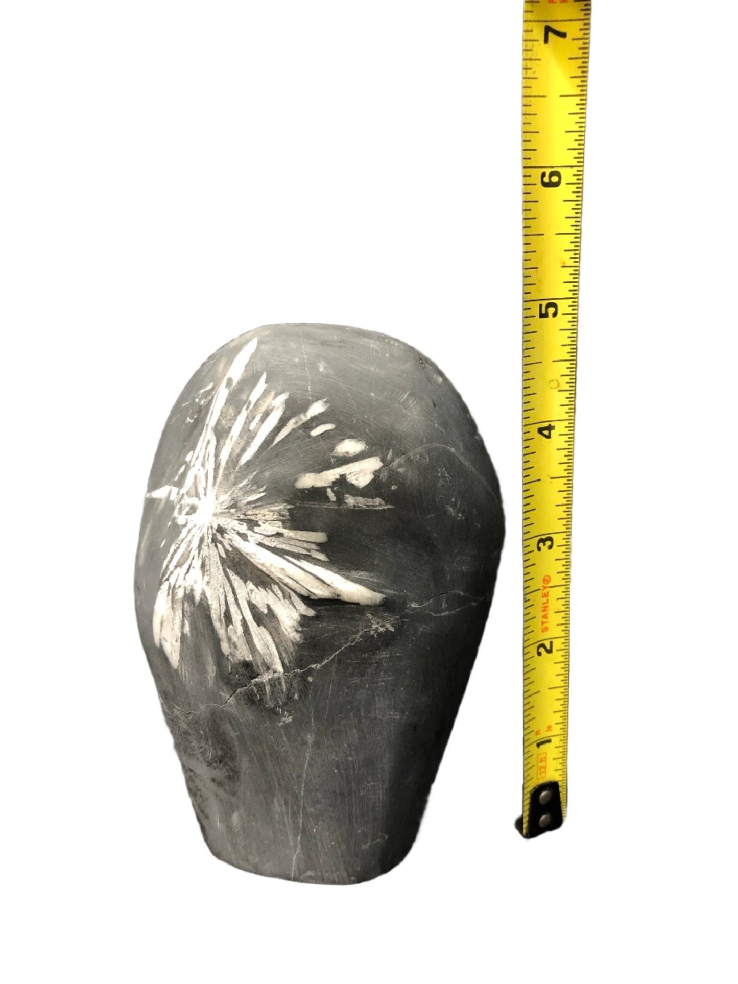 You can see in this shot the height of this Chrysanthemum piece