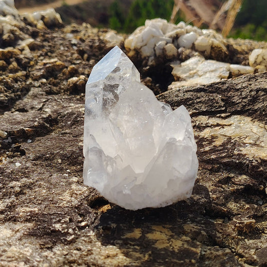 Quartz Crystal Cluster On Quartz Boulder