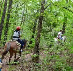 Guided Trail Rides At Ron Coleman Mine - Ron Coleman Mining