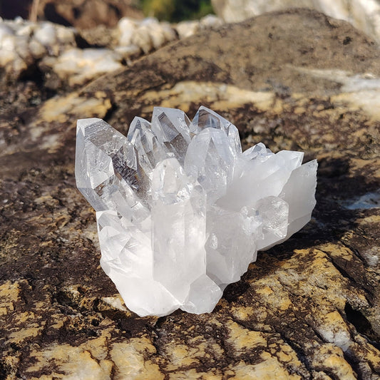 Quartz Crystal Cluster