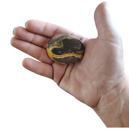 This is the front side of this Bumble Bee Jasper palm stone