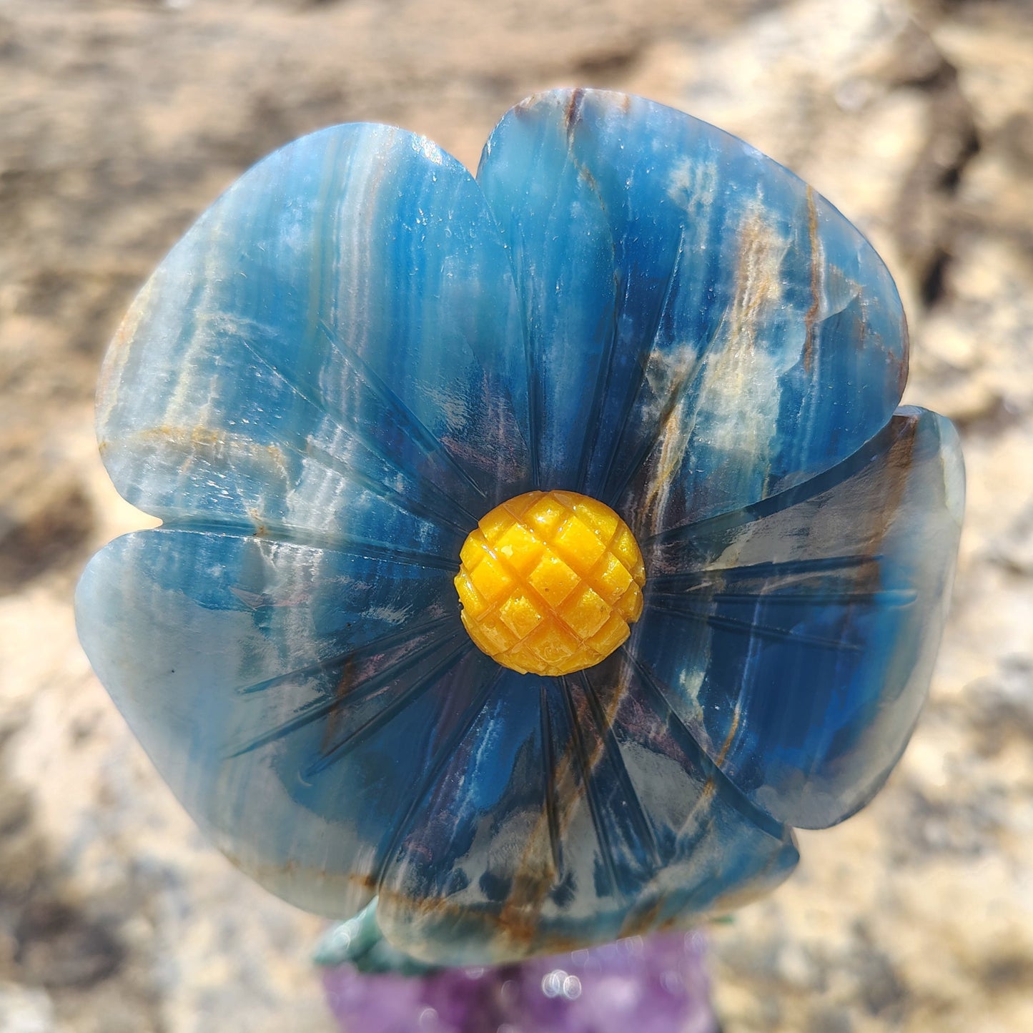 This is a close up of the petals on this blue Onyx flower