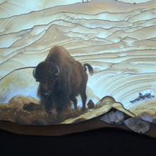 Load image into Gallery viewer, Close Up Image Of Buffalo Sandstone Painting
