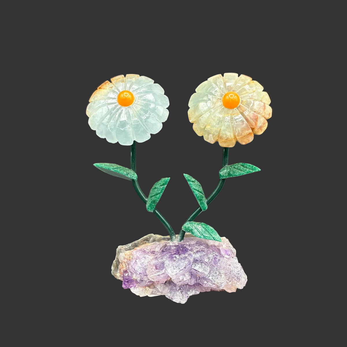 Front view of this double blue onyx flower in front of a black background.