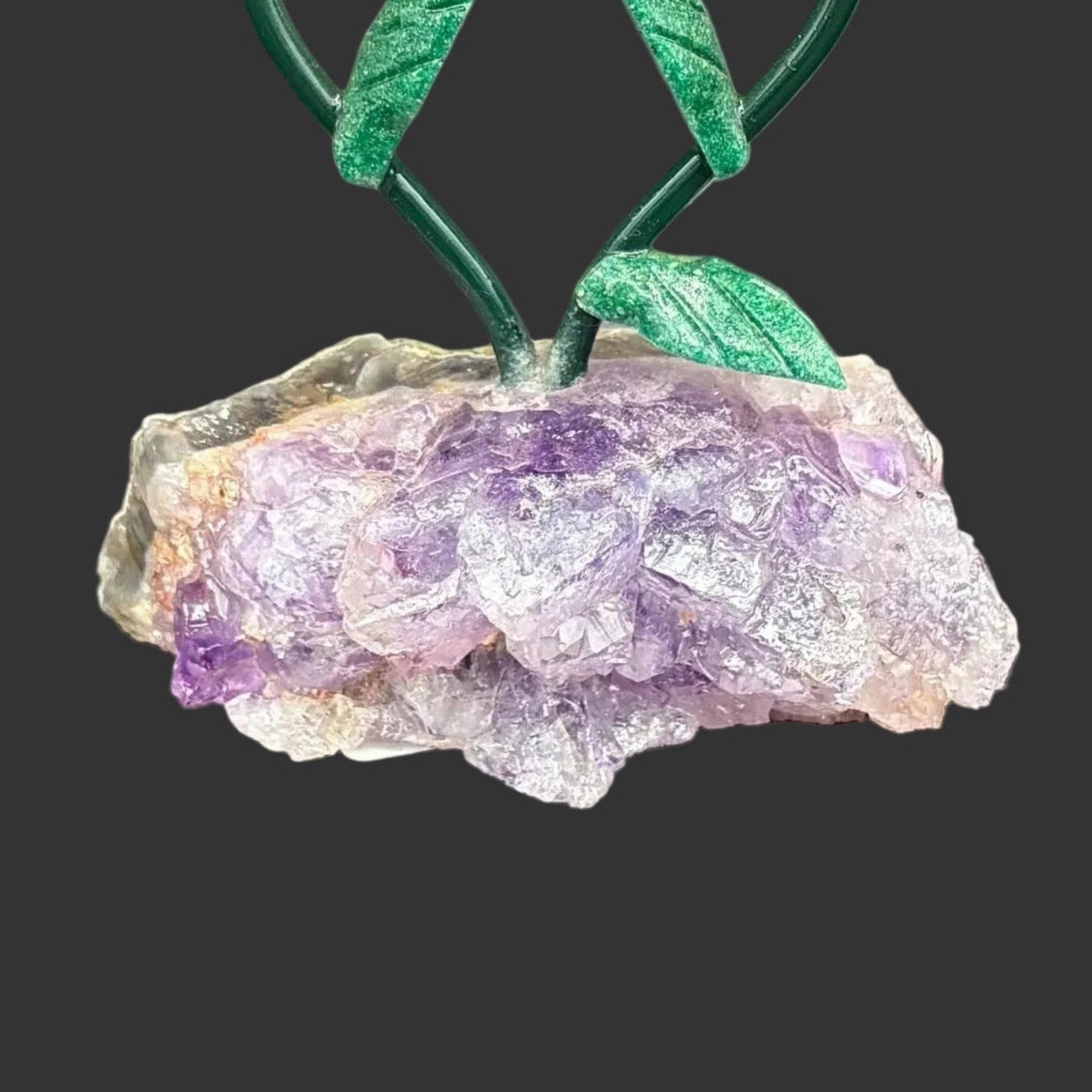 Close up of purple amethyst crystal base in front of a black backgtound.