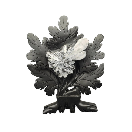 This is the front side, and is mostly black, but has a natural white design that resembles a Chrysanthemum flower. 