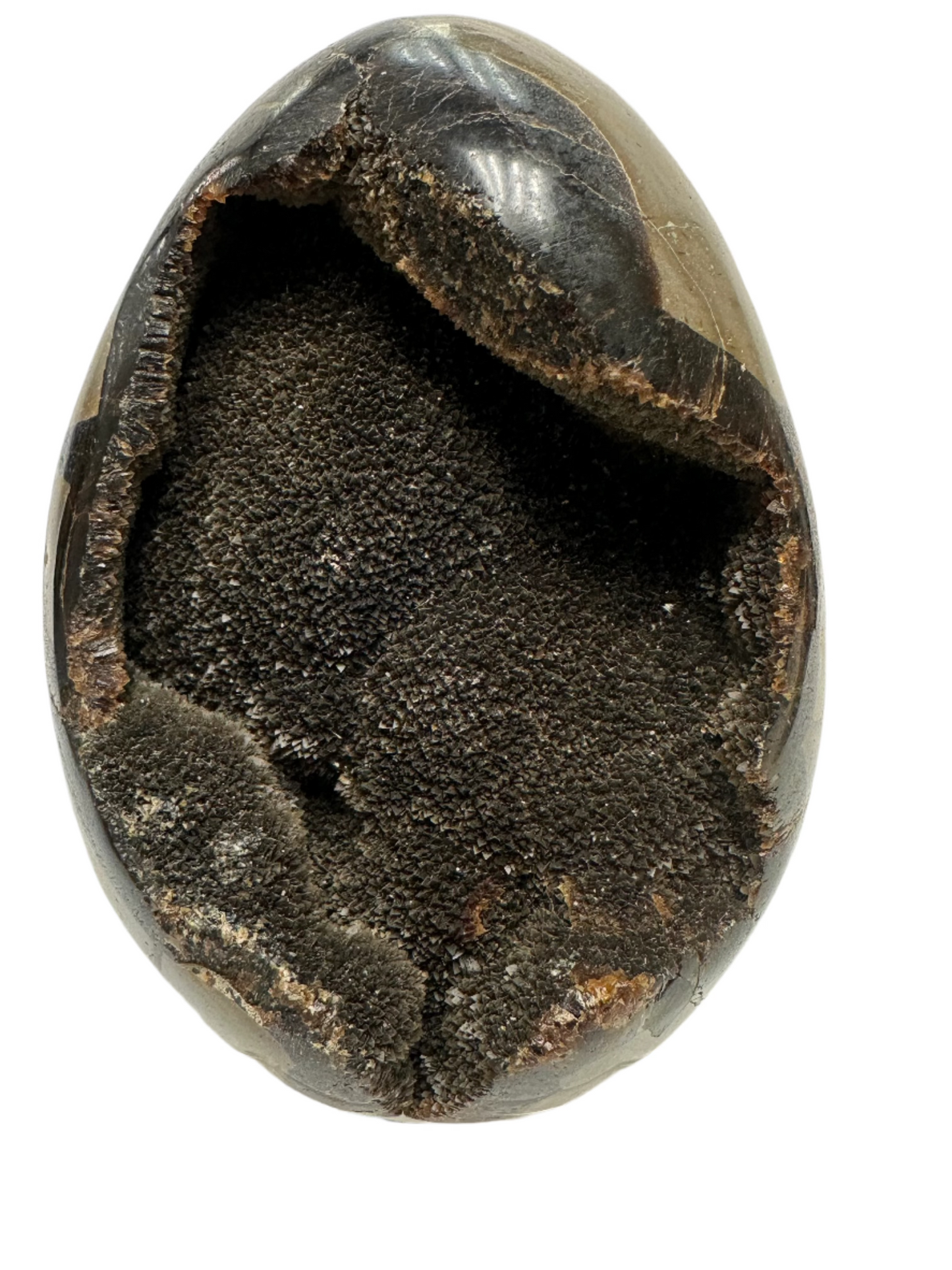 Front View Of Septarian Egg Showing Druzy