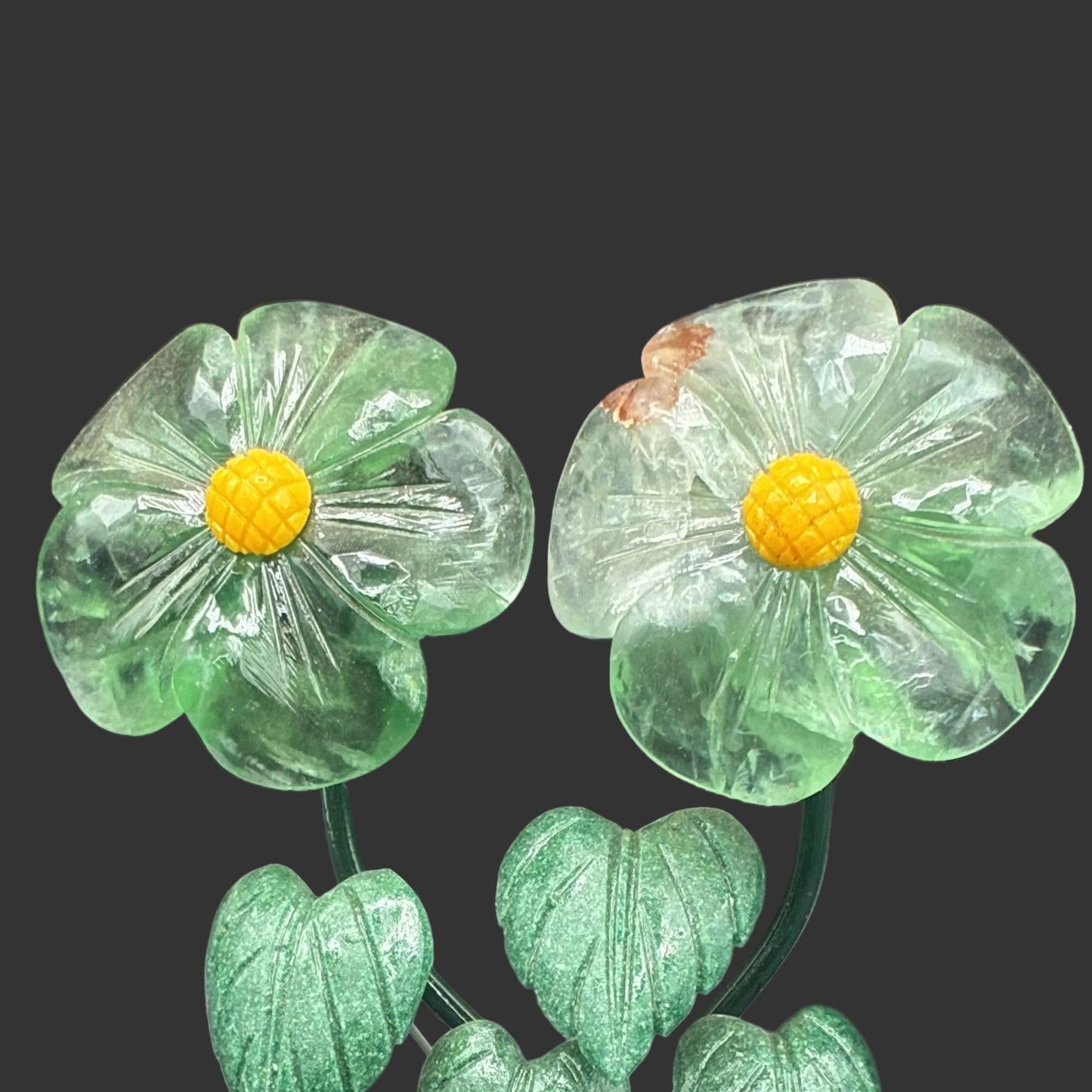 Close up of the fluorite double daisy flowers.