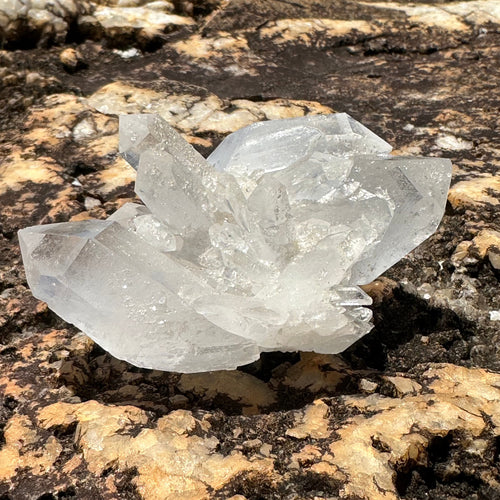 Quartz Crystal Cluster With Multiple Large And Small Points