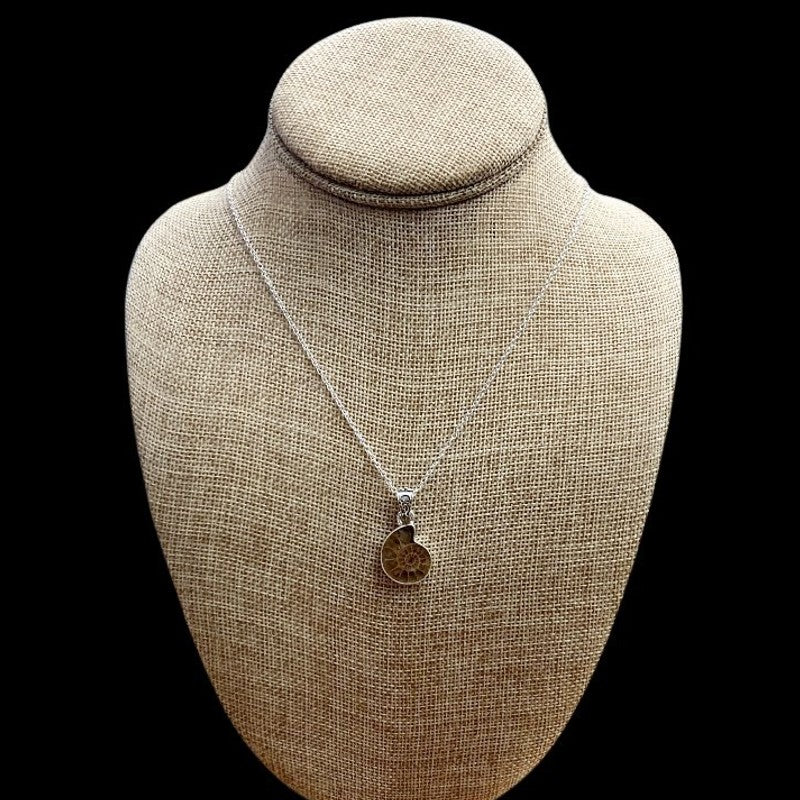 Sterling Silver Ammonite Necklace, Chain And Hardware Are Sterling Silver The Pendant Is A Brown And Tan Ammonite Fossil