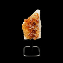 Load image into Gallery viewer, Front Side Of Citrine Druse On Stand, Honey Colored Druse Crystals, On A Black Metal Stand
