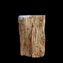 Load image into Gallery viewer, Front View Of Petrified Wood Stump, Left Raw And Natural Earthy Colors
