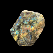 Load image into Gallery viewer, Fpecimen, Polished Green And Shimmering Blue And Yellow Flash In Coloront Of Polished Front Labradorite Sr
