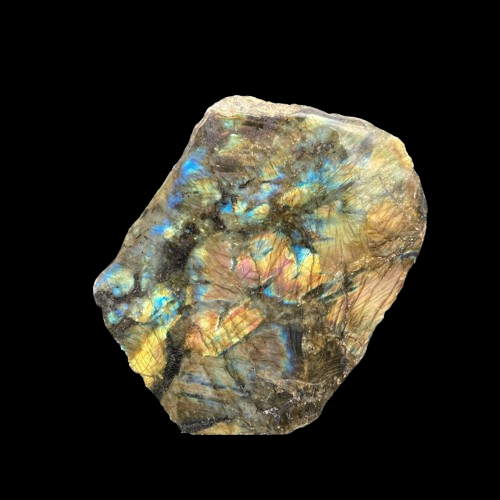 Fpecimen, Polished Green And Shimmering Blue And Yellow Flash In Coloront Of Polished Front Labradorite Sr